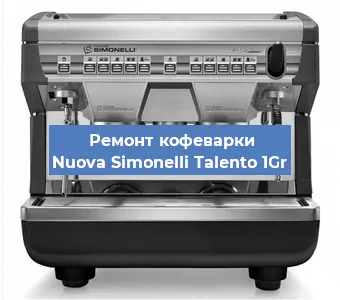 Декальцинация   кофемашины Nuova Simonelli Talento 1Gr в Санкт-Петербурге